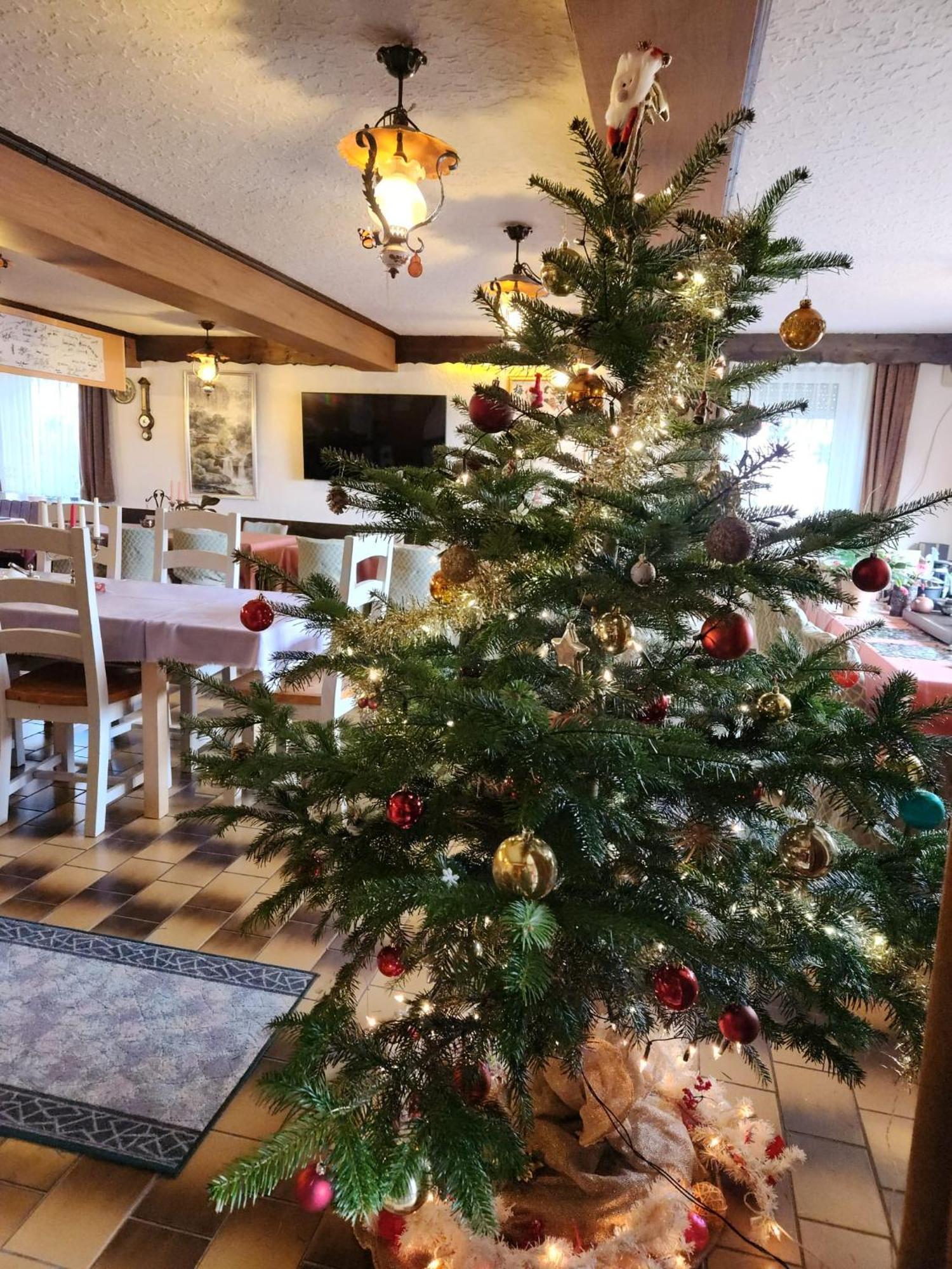Gasthaus Hochwald Hattgenstein Extérieur photo